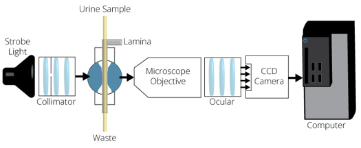 
							
								Diagram of flow cytometer
							
							